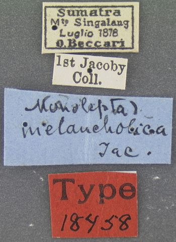 Media type: image;   Entomology 18458 Aspect: labels